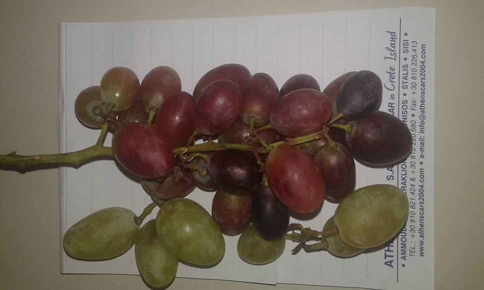 wines of Crete