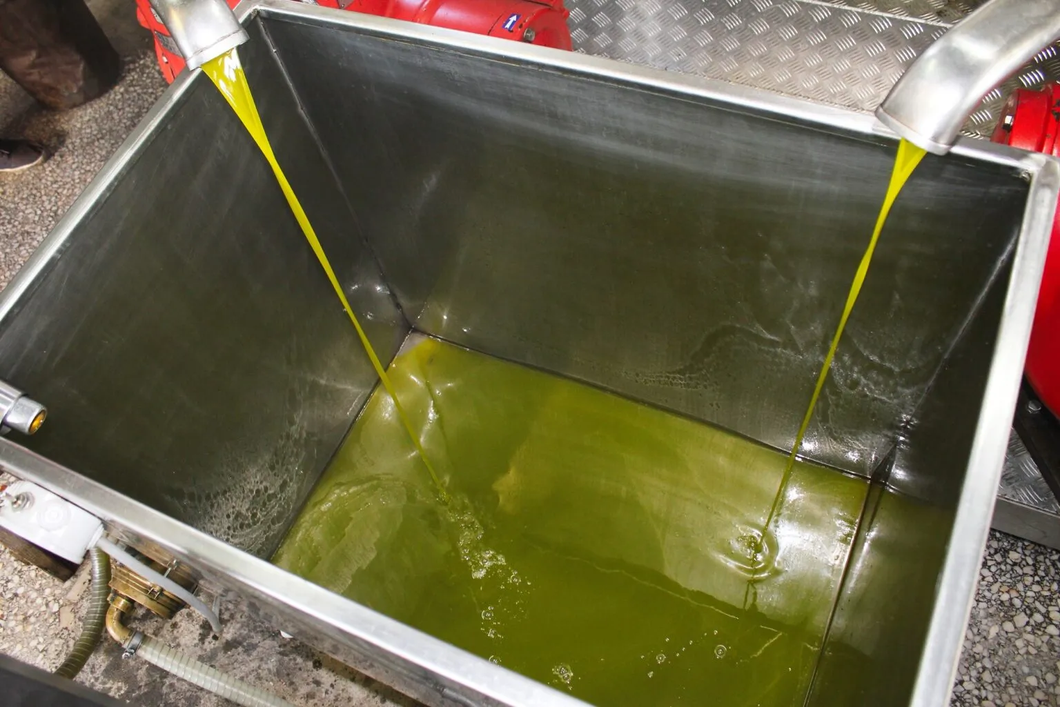 agriculture in Crete Crete Olive Oil