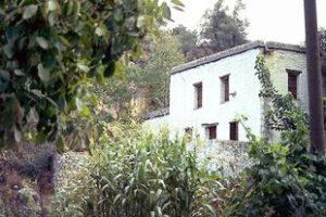 Theriso Chania